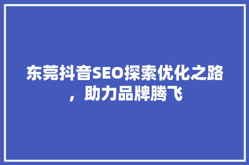 东莞抖音SEO探索优化之路，助力品牌腾飞