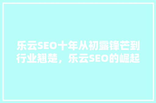 乐云SEO十年从初露锋芒到行业翘楚，乐云SEO的崛起之路  第1张