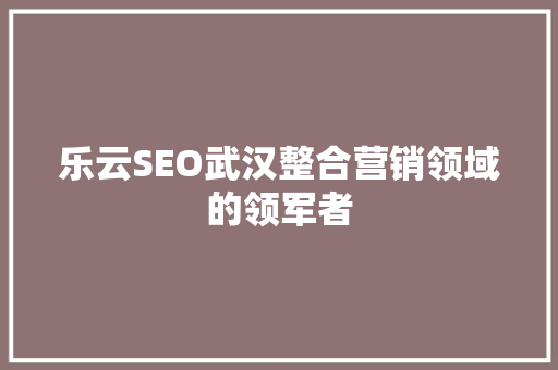 乐云SEO武汉整合营销领域的领军者