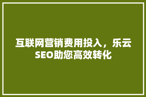 互联网营销费用投入，乐云SEO助您高效转化