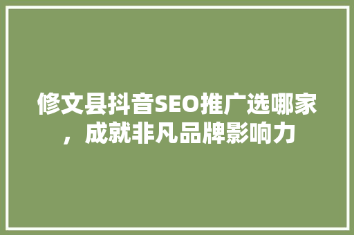 修文县抖音SEO推广选哪家，成就非凡品牌影响力