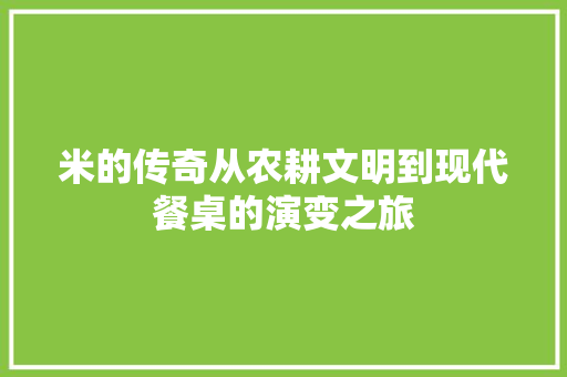 米的传奇从农耕文明到现代餐桌的演变之旅