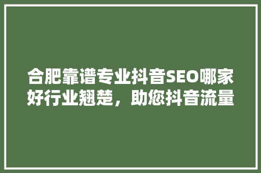 合肥靠谱专业抖音SEO哪家好行业翘楚，助您抖音流量翻倍