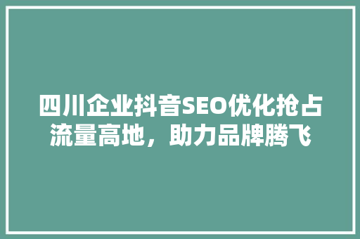 四川企业抖音SEO优化抢占流量高地，助力品牌腾飞