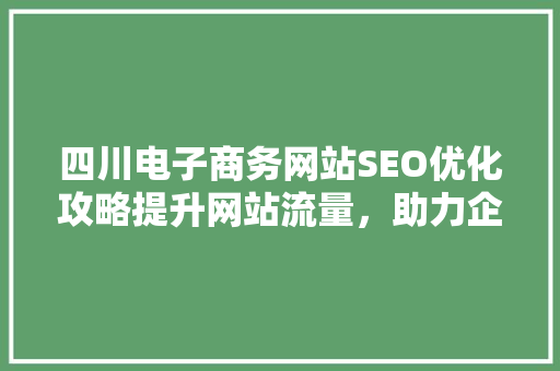 四川电子商务网站SEO优化攻略提升网站流量，助力企业腾飞