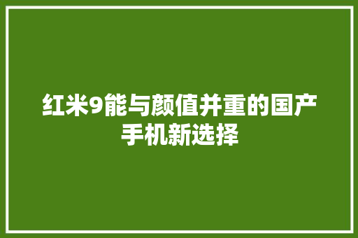 红米9能与颜值并重的国产手机新选择