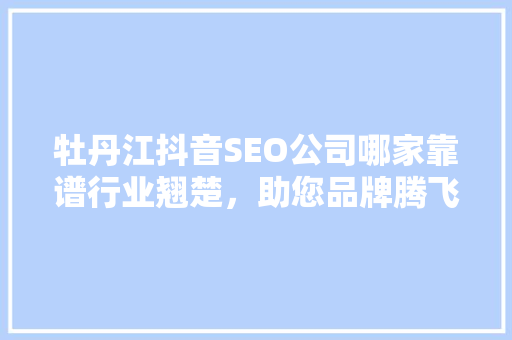牡丹江抖音SEO公司哪家靠谱行业翘楚，助您品牌腾飞