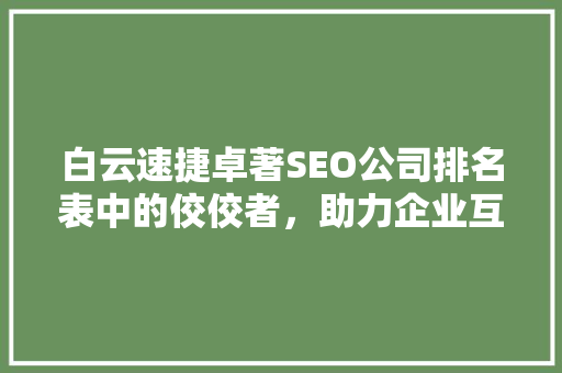 白云速捷卓著SEO公司排名表中的佼佼者，助力企业互联网营销腾飞