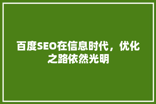 百度SEO在信息时代，优化之路依然光明