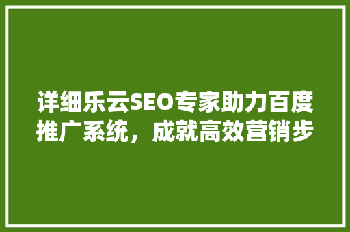 详细乐云SEO专家助力百度推广系统，成就高效营销步骤