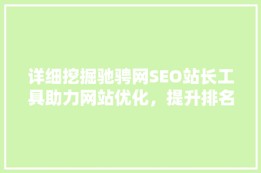 详细挖掘驰骋网SEO站长工具助力网站优化，提升排名的得力助手  第1张