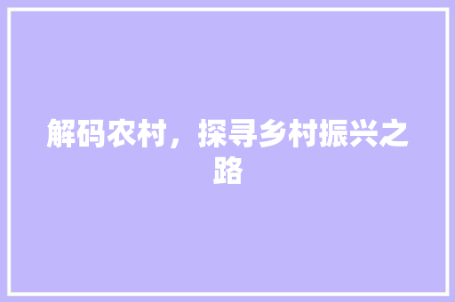 解码农村，探寻乡村振兴之路