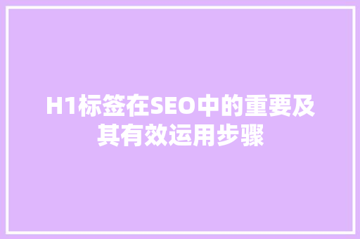 H1标签在SEO中的重要及其有效运用步骤