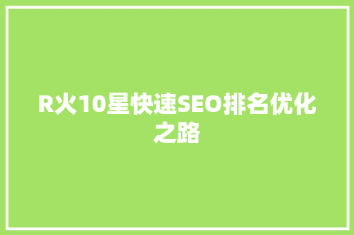 R火10星快速SEO排名优化之路