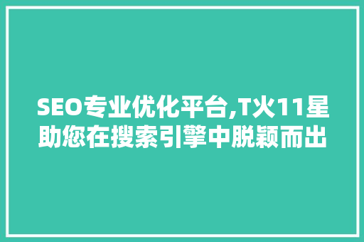 SEO专业优化平台,T火11星助您在搜索引擎中脱颖而出
