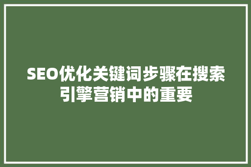 SEO优化关键词步骤在搜索引擎营销中的重要