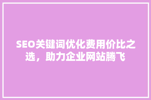 SEO关键词优化费用价比之选，助力企业网站腾飞