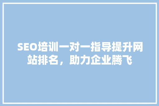 SEO培训一对一指导提升网站排名，助力企业腾飞
