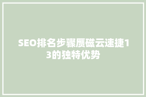 SEO排名步骤赝磁云速捷13的独特优势