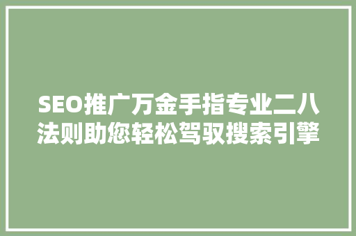 SEO推广万金手指专业二八法则助您轻松驾驭搜索引擎优化