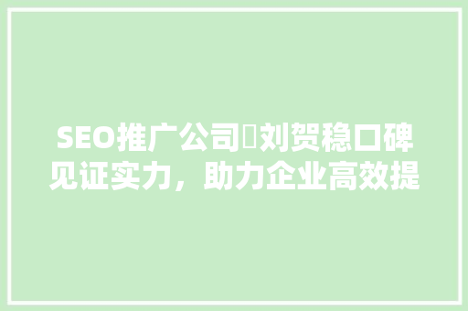 SEO推广公司乚刘贺稳口碑见证实力，助力企业高效提升排名