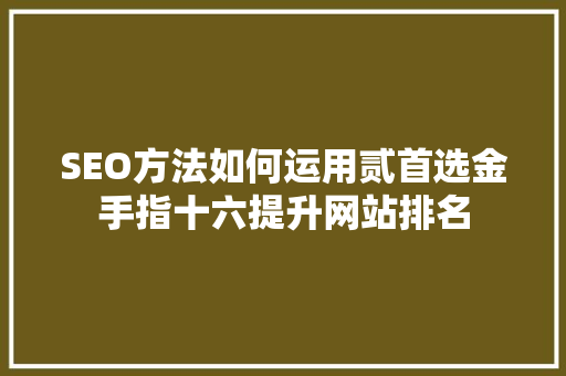 SEO方法如何运用贰首选金手指十六提升网站排名