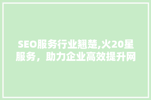SEO服务行业翘楚,火20星服务，助力企业高效提升网站排名