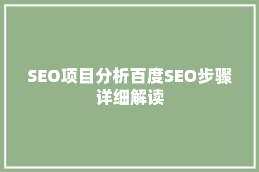SEO项目分析百度SEO步骤详细解读