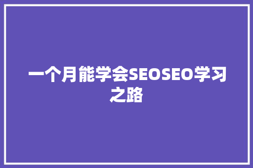 一个月能学会SEOSEO学习之路