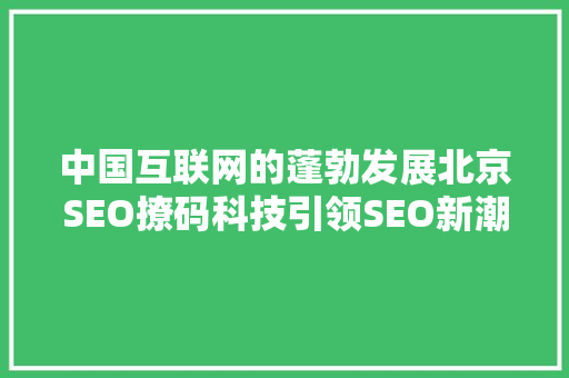 中国互联网的蓬勃发展北京SEO撩码科技引领SEO新潮流