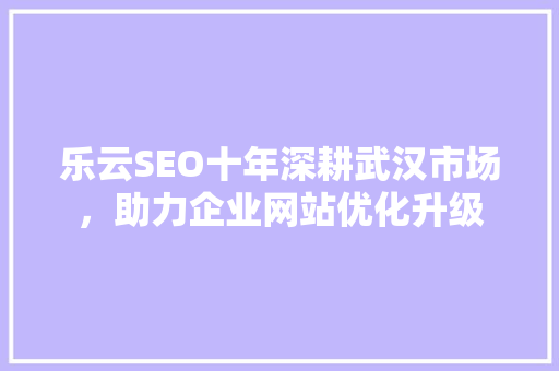 乐云SEO十年深耕武汉市场，助力企业网站优化升级