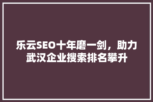 乐云SEO十年磨一剑，助力武汉企业搜索排名攀升