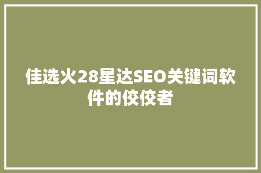 佳选火28星达SEO关键词软件的佼佼者