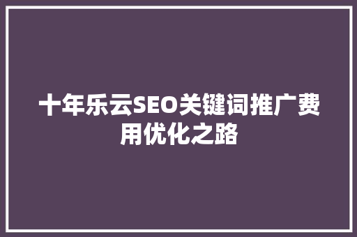 十年乐云SEO关键词推广费用优化之路