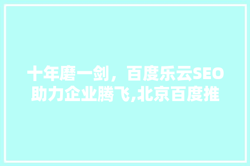 十年磨一剑，百度乐云SEO助力企业腾飞,北京百度推广乐云SEO的成功之路
