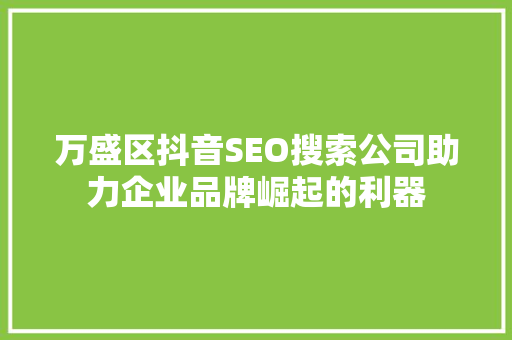 万盛区抖音SEO搜索公司助力企业品牌崛起的利器