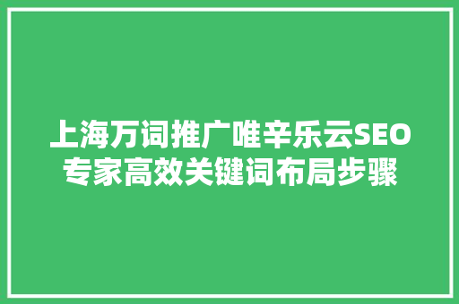 上海万词推广唯辛乐云SEO专家高效关键词布局步骤