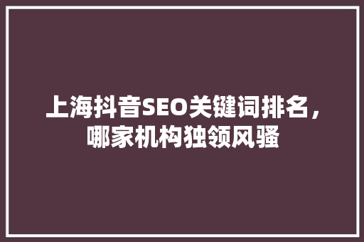 上海抖音SEO关键词排名，哪家机构独领风骚