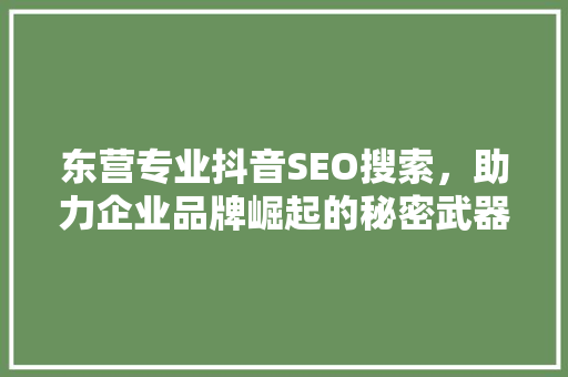 东营专业抖音SEO搜索，助力企业品牌崛起的秘密武器  第1张