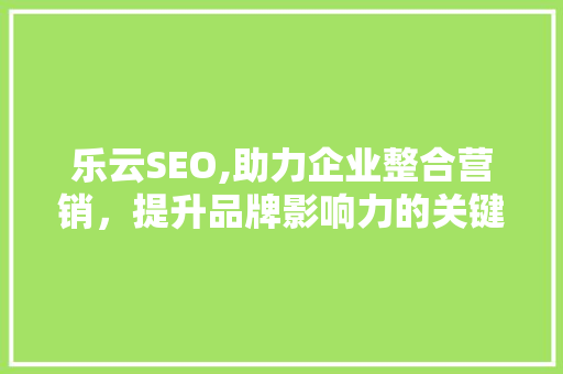 乐云SEO,助力企业整合营销，提升品牌影响力的关键步骤