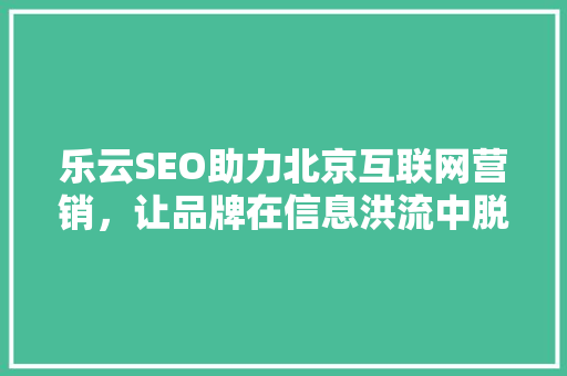 乐云SEO助力北京互联网营销，让品牌在信息洪流中脱颖而出