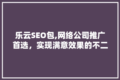 乐云SEO包,网络公司推广首选，实现满意效果的不二选择