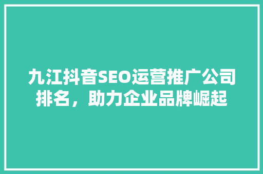 九江抖音SEO运营推广公司排名，助力企业品牌崛起
