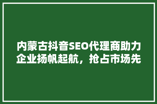 内蒙古抖音SEO代理商助力企业扬帆起航，抢占市场先机