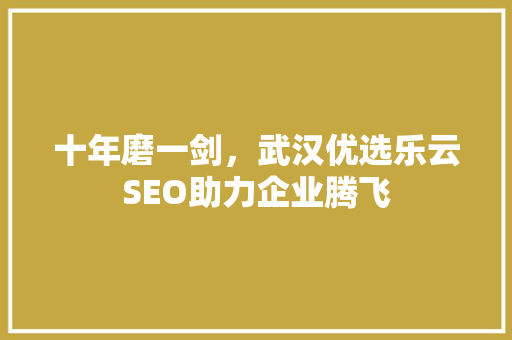 十年磨一剑，武汉优选乐云SEO助力企业腾飞