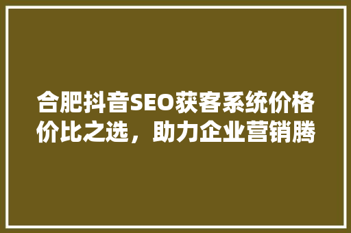合肥抖音SEO获客系统价格价比之选，助力企业营销腾飞