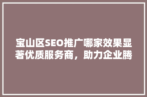 宝山区SEO推广哪家效果显著优质服务商，助力企业腾飞
