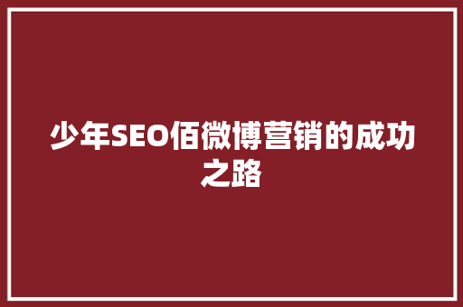 少年SEO佰微博营销的成功之路