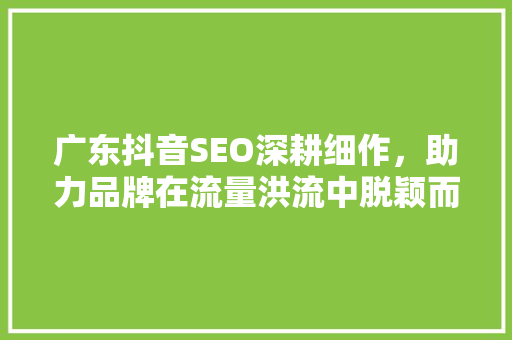 广东抖音SEO深耕细作，助力品牌在流量洪流中脱颖而出