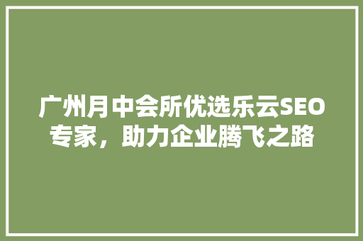 广州月中会所优选乐云SEO专家，助力企业腾飞之路